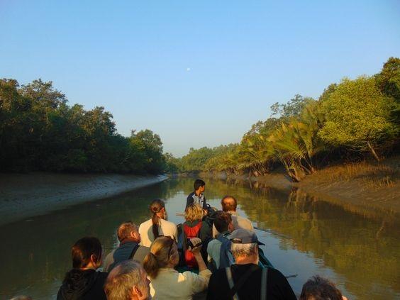 Sundarban Expedition 